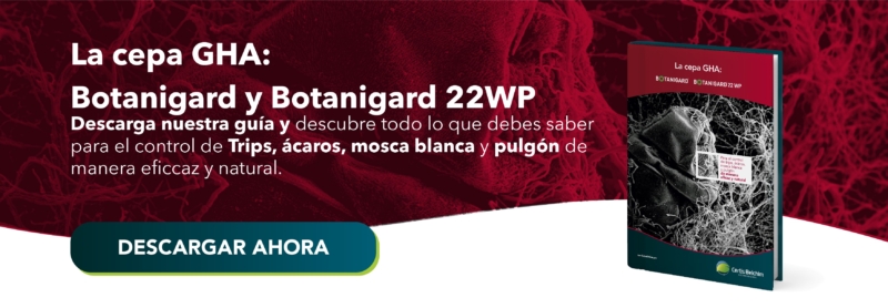 La Cepa GHA: BOTANIGARD Y BOTANIGARD 22WP