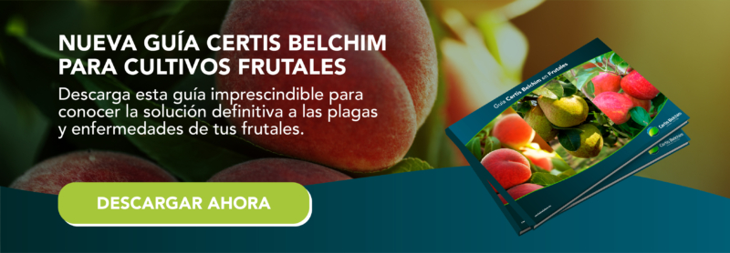Nueva guía Certis Belchim para cultivos frutales