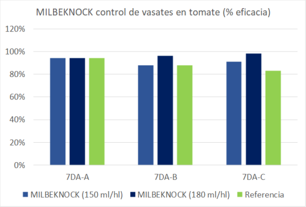 Gráfica 1. % Eficacia de Milbeknock® en el control de Vasates en tomate.