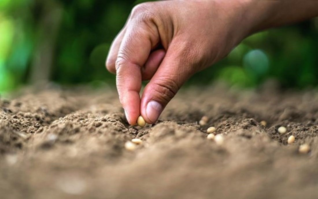 Tipos de suelo aptos para la agricultura: ¿Cuál es el mejor?