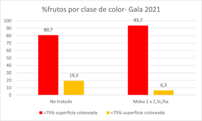 Figura 2. Porcentaje de de frutos coloreados en manzana Gala (Campaña 2021)