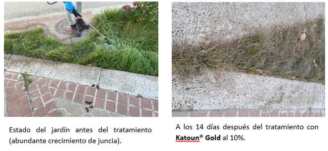 Beloukha® y Katoun® Gold los herbicidas del futuro