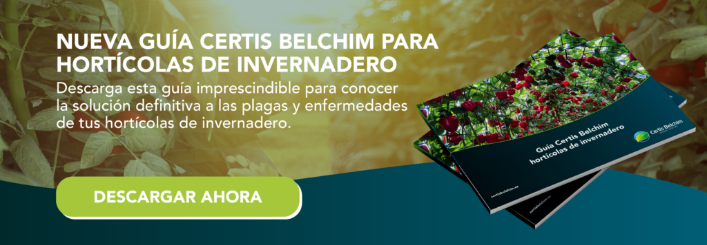 Guía hortícolas de invernadero